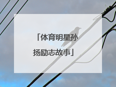 体育明星孙扬励志故事