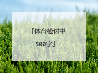体育检讨书500字