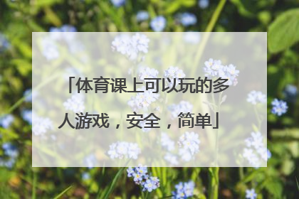 体育课上可以玩的多人游戏，安全，简单
