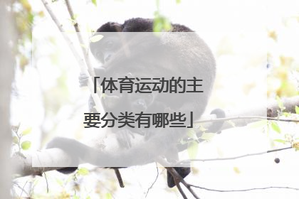 体育运动的主要分类有哪些