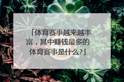 体育赛事越来越丰富，其中赚钱最多的体育赛事是什么?