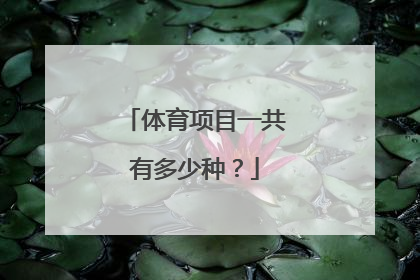 体育项目一共有多少种？