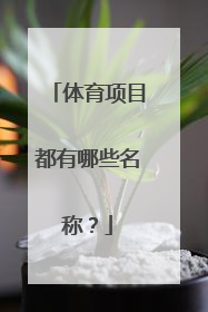 体育项目都有哪些名称？