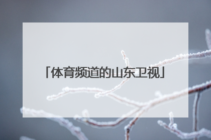 体育频道的山东卫视