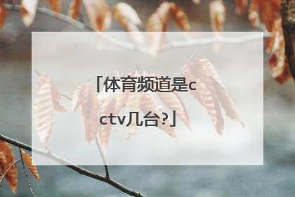 体育频道是cctv几台?