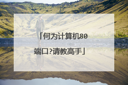 何为计算机80端口?请教高手