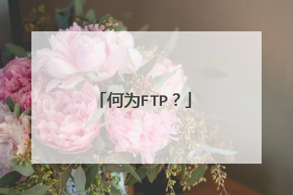 何为FTP？