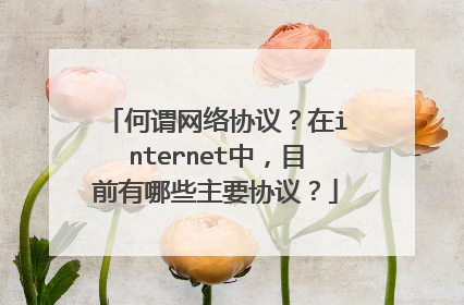 何谓网络协议?在internet中,目前有哪些主要协议?