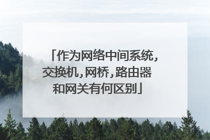 作为网络中间系统,交换机,网桥,路由器和网关有何区别