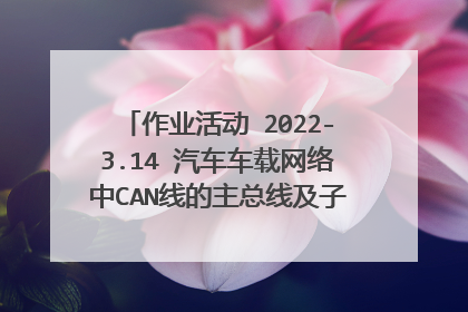 作业活动 2022-3.14 汽车车载网络中CAN线的主总线及子总线是什么意思?
