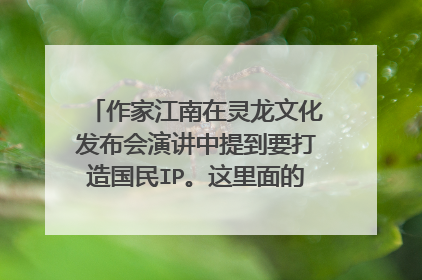 作家江南在灵龙文化发布会演讲中提到要打造国民IP。这里面的IP是意思。求详细解答,谢谢。