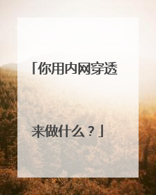 你用内网穿透来做什么？