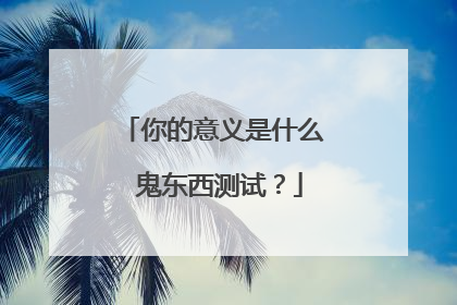 你的意义是什么 鬼东西测试？