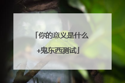 你的意义是什么+鬼东西测试