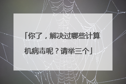 你了，解决过哪些计算机病毒呢？请举三个