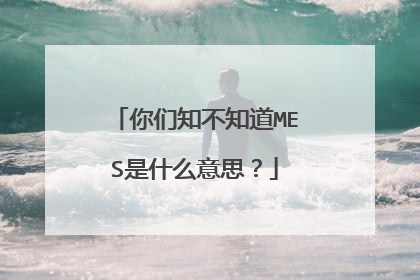 你们知不知道MES是什么意思？