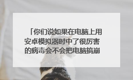 你们说如果在电脑上用安卓模拟器时中了很厉害的病毒会不会把电脑搞崩呢？还是说根本不存在这种可能性呢？