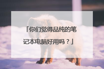 你们觉得品纯的笔记本电脑好用吗?
