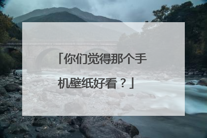 你们觉得那个手机壁纸好看?