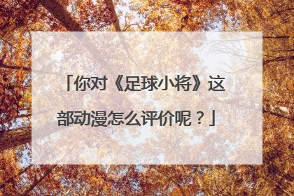 你对《足球小将》这部动漫怎么评价呢?