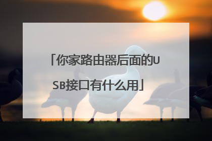 你家路由器后面的USB接口有什么用