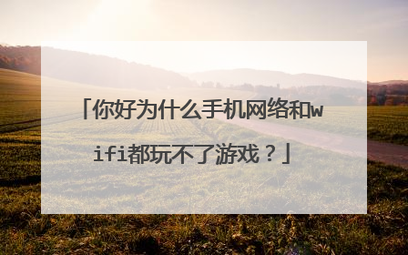 你好为什么手机网络和wifi都玩不了游戏？