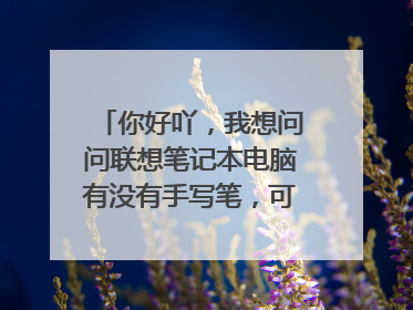 你好吖，我想问问联想笔记本电脑有没有手写笔，可以在触屏界面上写字的那种？