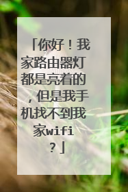 你好！我家路由器灯都是亮着的，但是我手机找不到我家wifi？