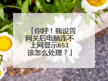 你好!我设置网关后电脑连不上网显示651该怎么处理?