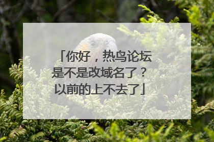 你好，热鸟论坛是不是改域名了？以前的上不去了