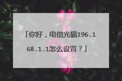你好，电信光猫196.168.1.1怎么设置？