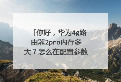 你好，华为4g路由器2pro内存多大？怎么在配置参数里没有这项显示？