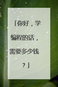 你好，学编程的话，需要多少钱？