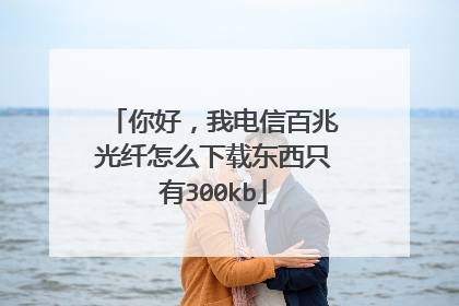 你好,我电信百兆光纤怎么下载东西只有300kb