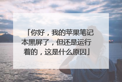 你好,我的苹果笔记本黑屏了,但还是运行着的,这是什么原因