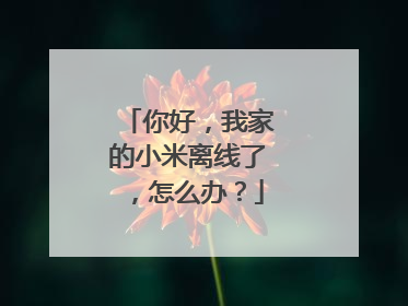 你好,我家的小米离线了,怎么办?