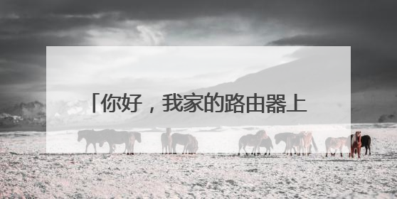 你好,我家的路由器上显示的 IP是192.168.2.100怎么我想修改密码进入浏览
