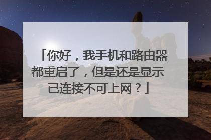 你好,我手机和路由器都重启了,但是还是显示已连接不可上网?