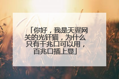 你好,我是天翼网关的光钎猫,为什么只有千兆口可以用,百兆口插上显