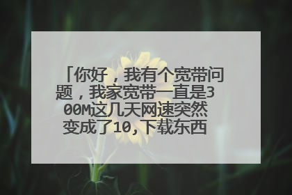 你好,我有个宽带问题,我家宽带一直是300M这几天网速突然变成了10,下载东西 1M/S,请问是哪里出了问题?