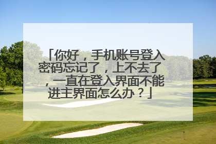 你好,手机账号登入密码忘记了,上不去了,一直在登入界面不能进主界面怎么办?
