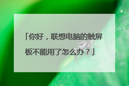 你好,联想电脑的触屏板不能用了怎么办?