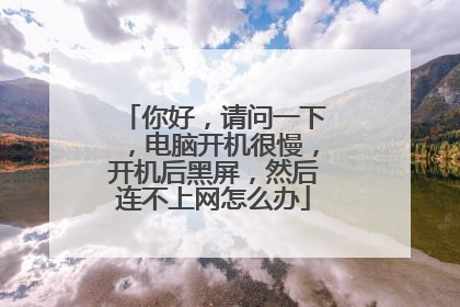 你好,请问一下,电脑开机很慢,开机后黑屏,然后连不上网怎么办