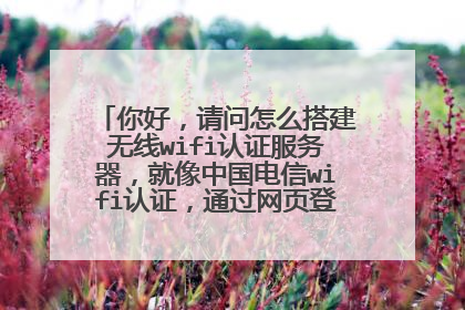 你好，请问怎么搭建无线wifi认证服务器，就像中国电信wifi认证，通过网页登陆后才能上网
