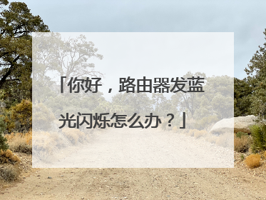 你好，路由器发蓝光闪烁怎么办？