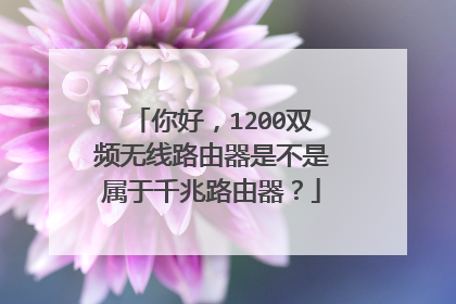 你好,1200双频无线路由器是不是属于千兆路由器?
