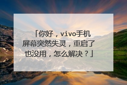 你好，vivo手机屏幕突然失灵，重启了也没用，怎么解决？
