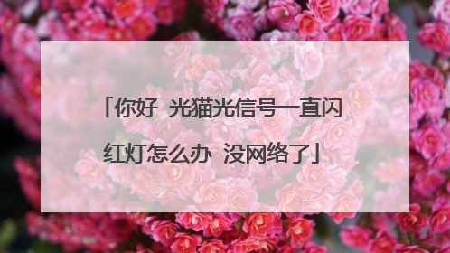 你好 光猫光信号一直闪红灯怎么办 没网络了