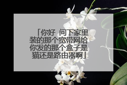 你好 问下家里装的那个宽带网给你发的那个盒子是猫还是路由器啊