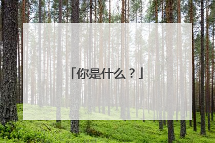 你是什么？